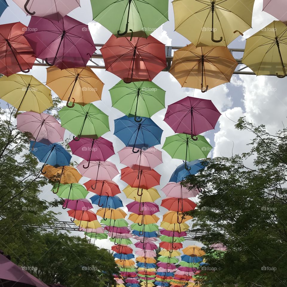 Umbrella.Coral Gables Florida 