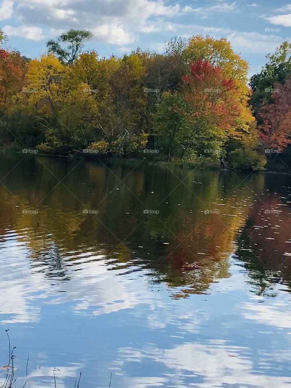 Fall trees beautiful wavy water reflection 