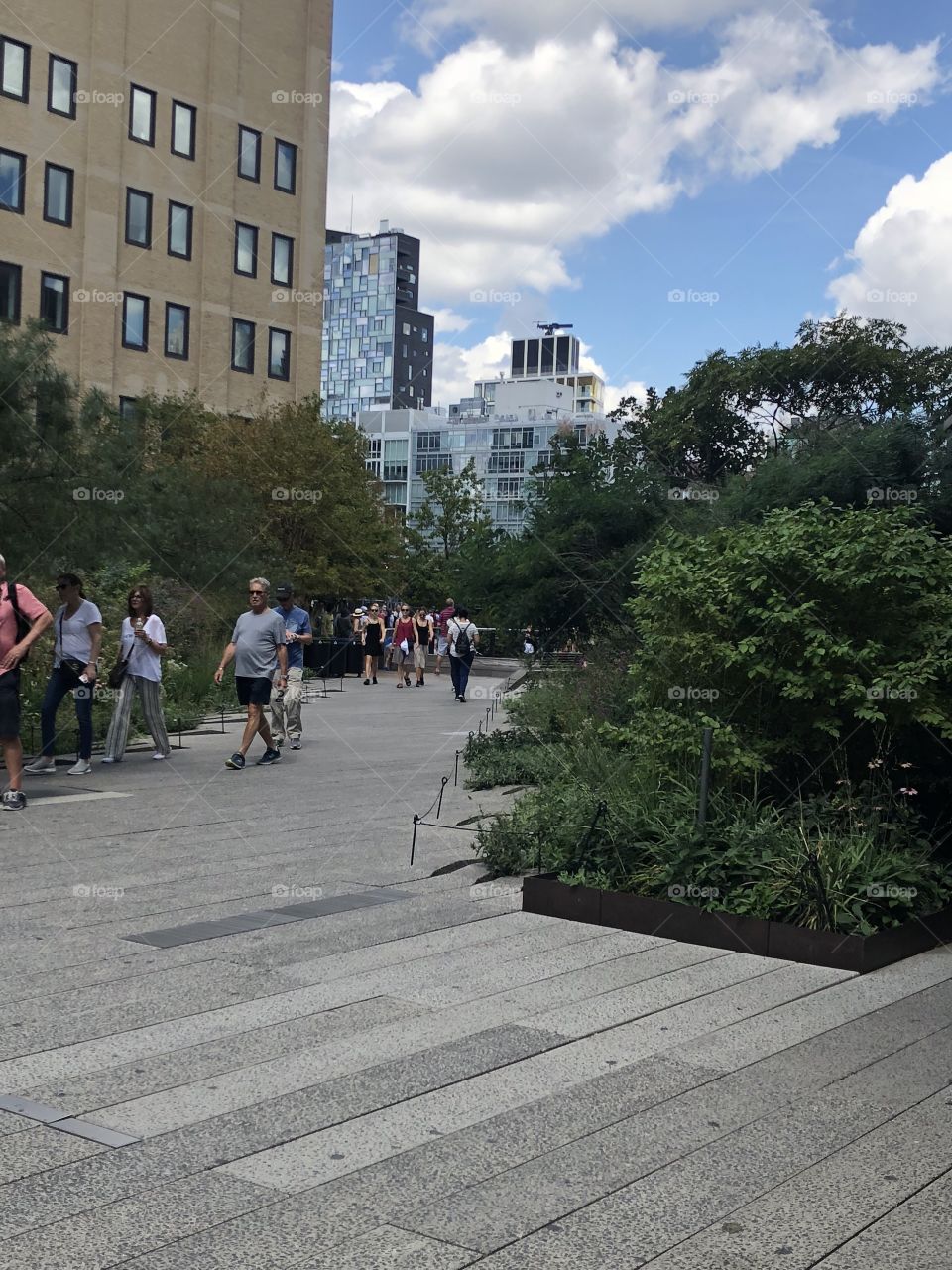 NYC high line park