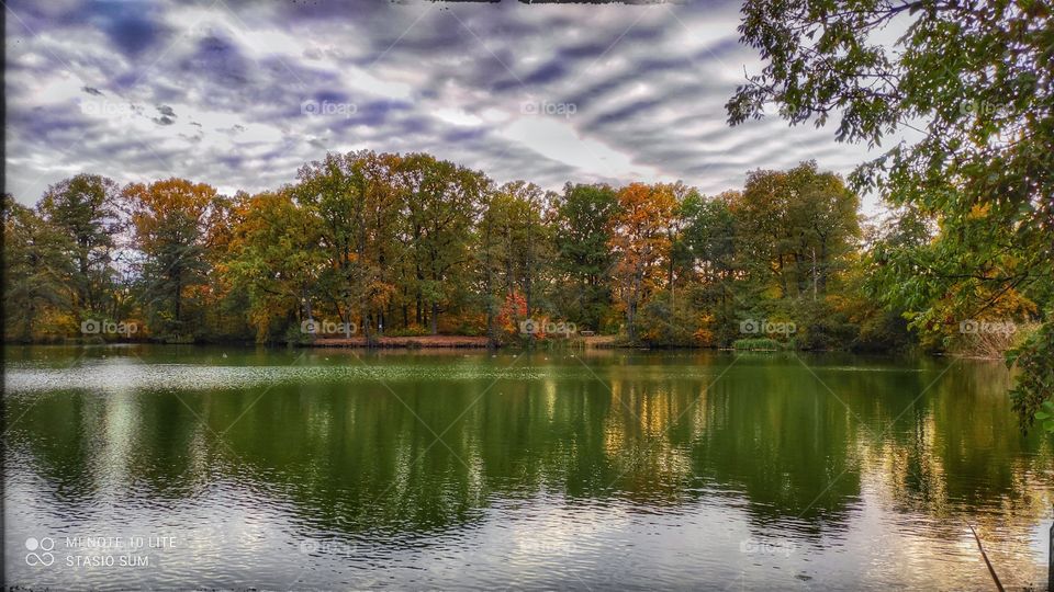 Polish golden autumn