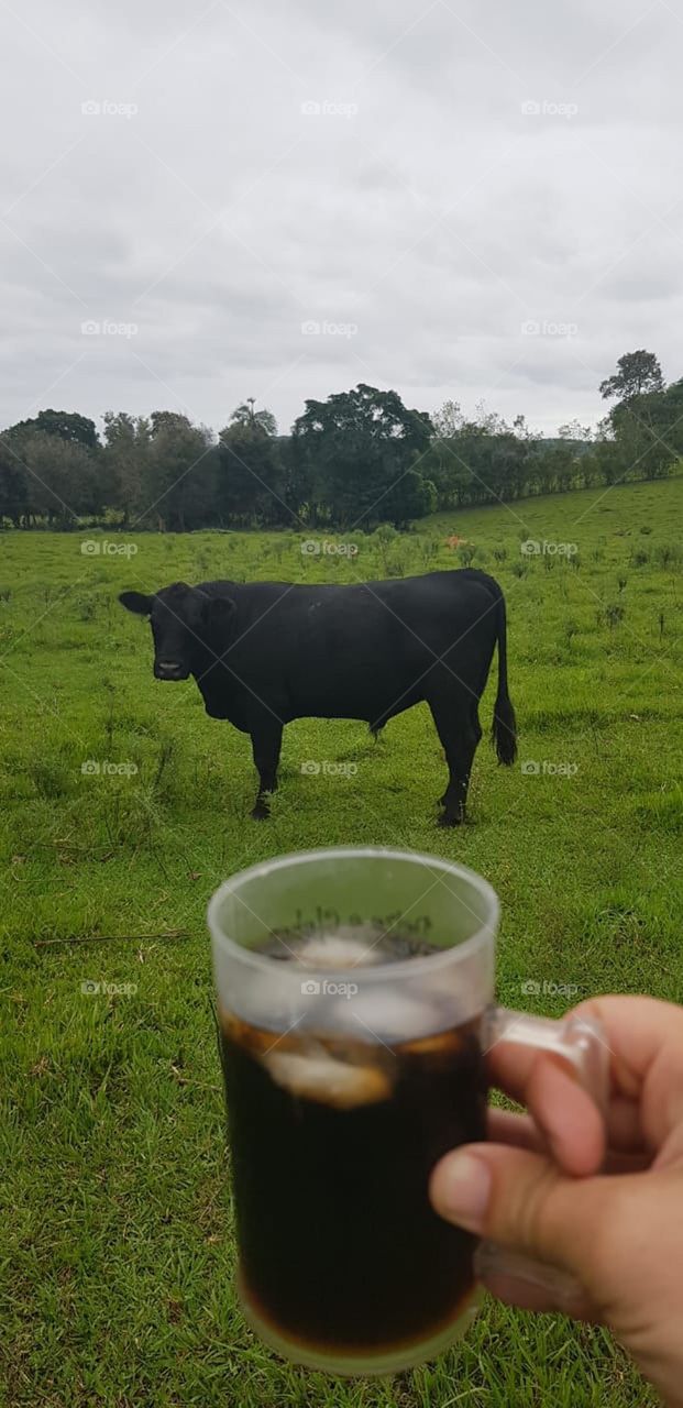 Ox and drink!