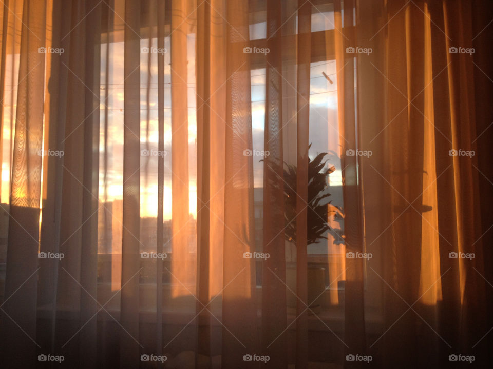 Warm Sunrise through the curtain on a window with a plant in a pot on a windows sill