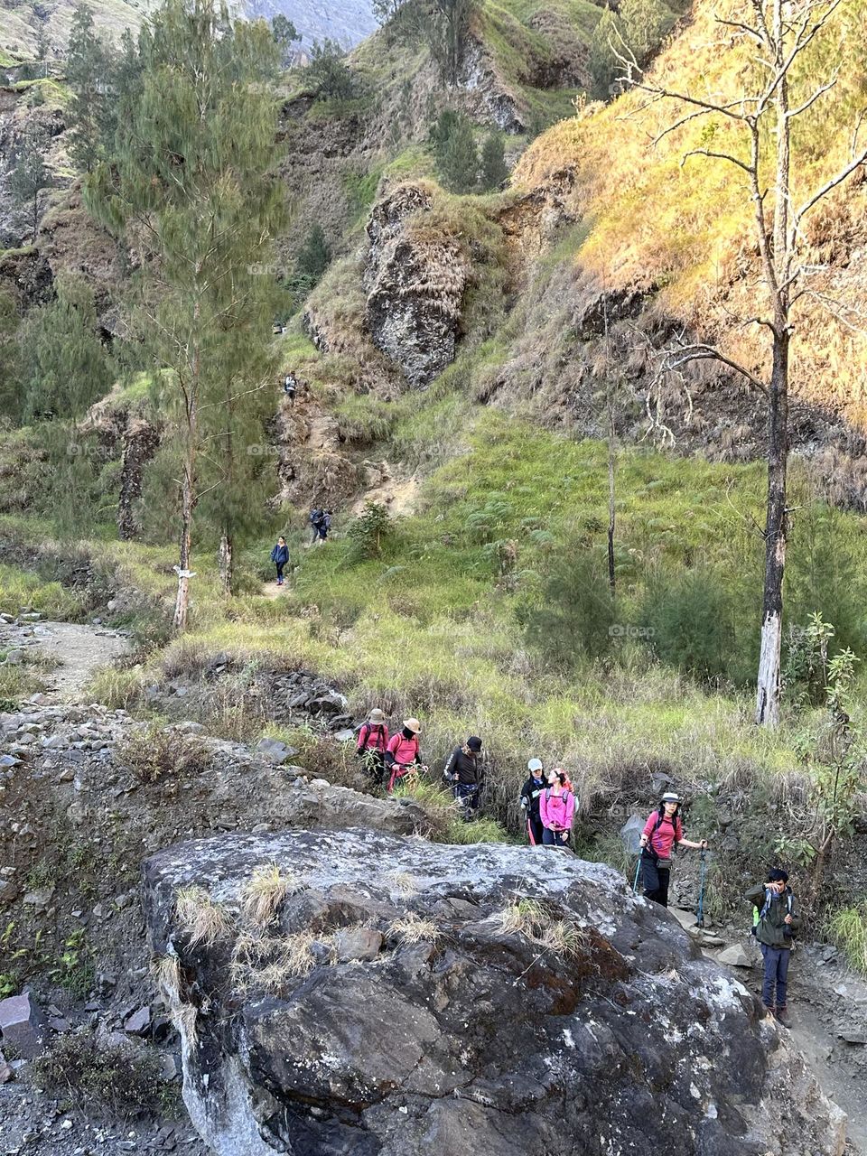 Rinjani pathway
