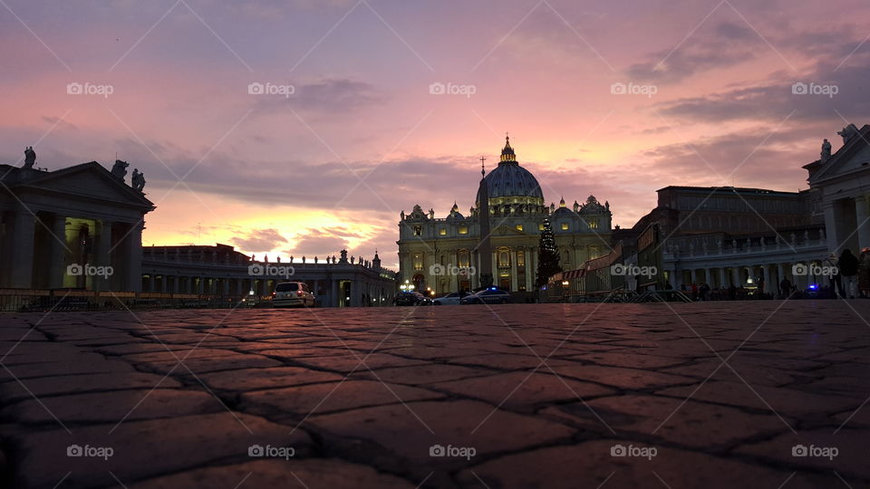 The Vatican Christmas tree 2015 preparations at St Peter's Square  in Rome, Italy