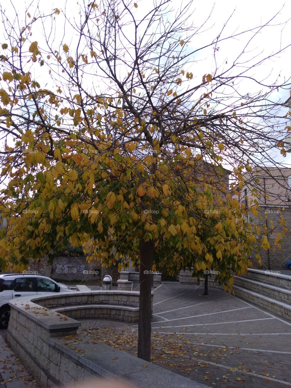 Colors of 2021: Ultimate Gray & Illuminating.