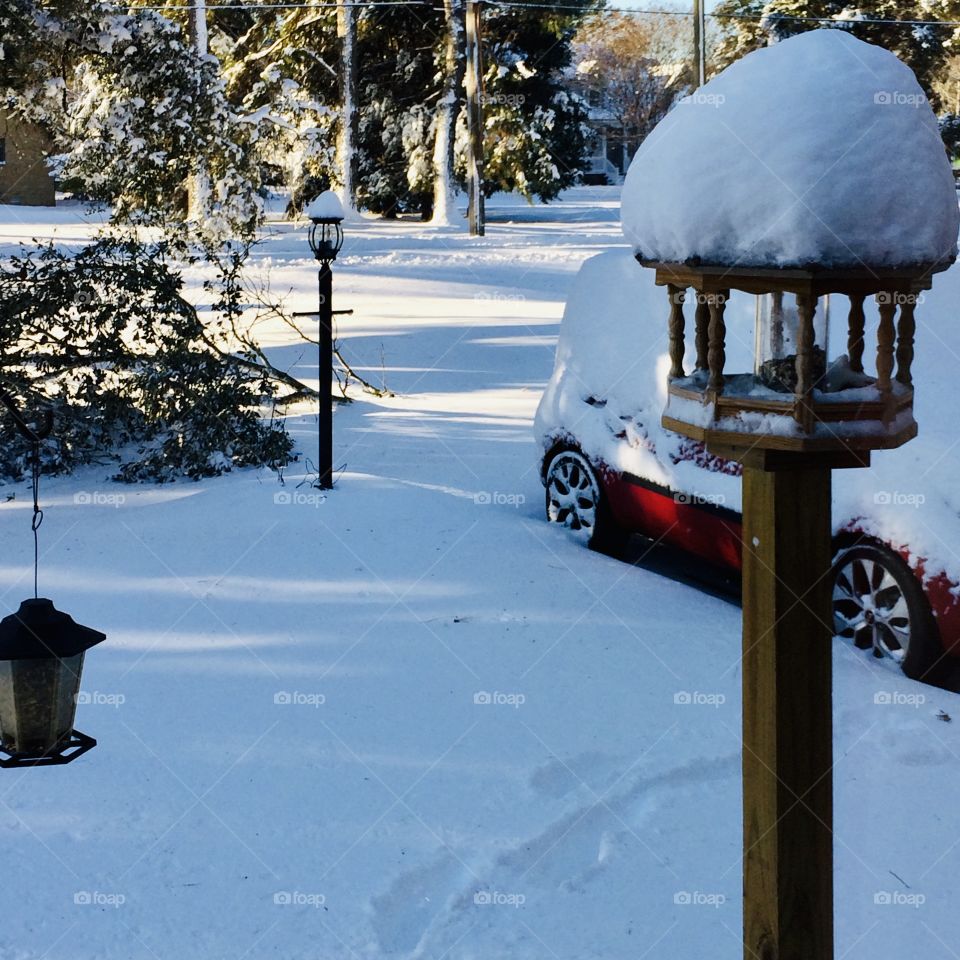 Snow on car and lawn