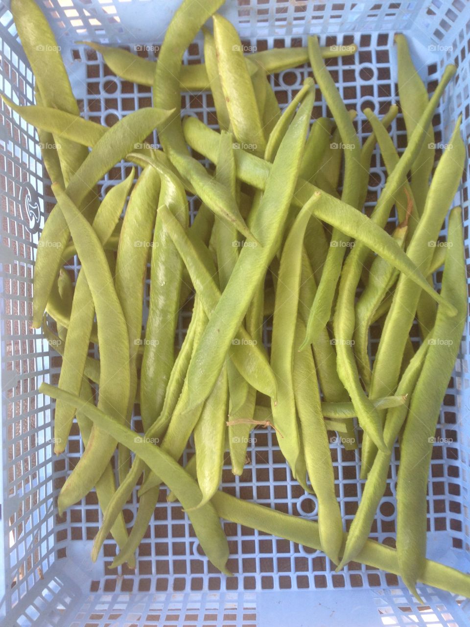 Runner beans