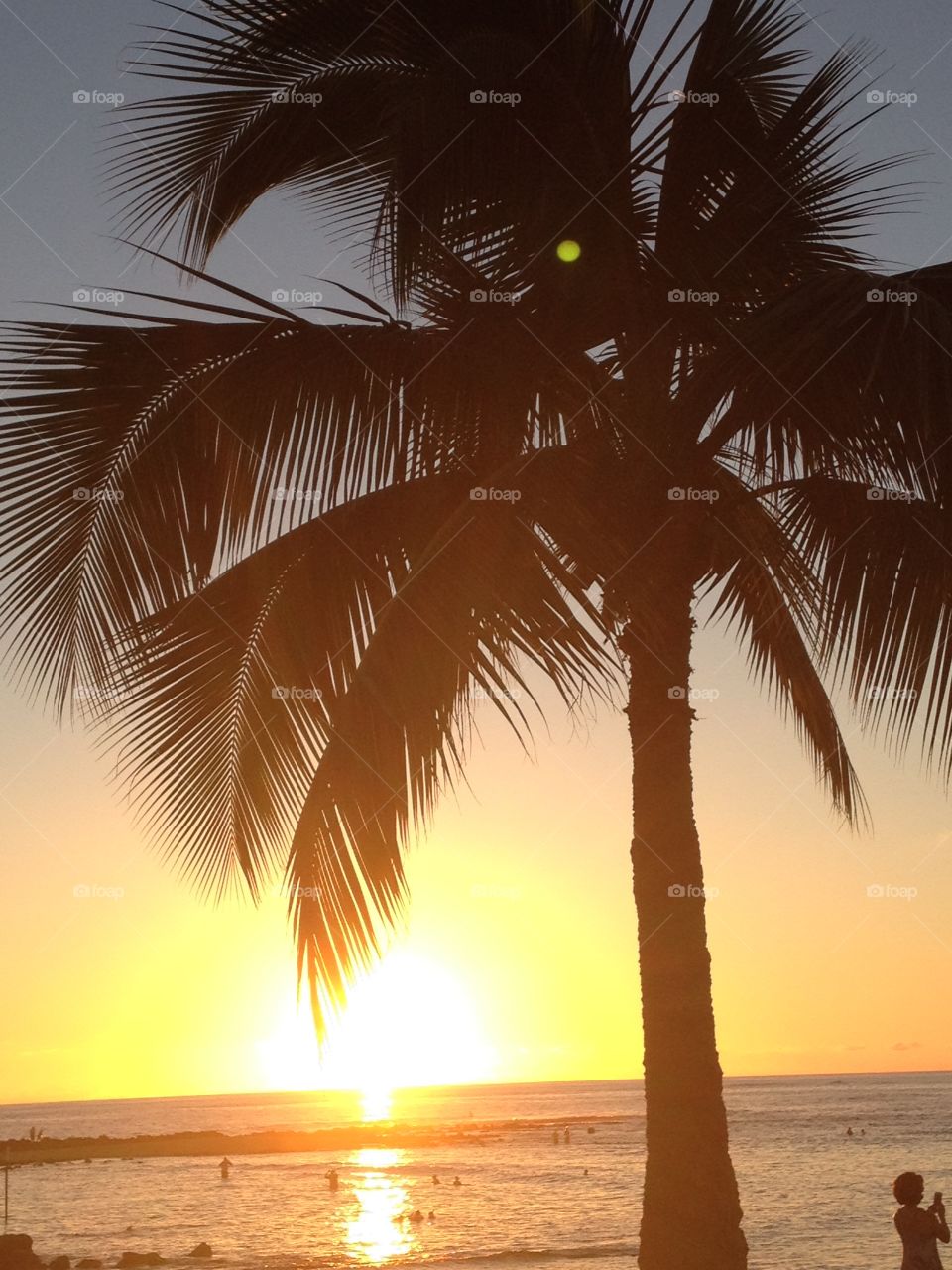 Beach, Tropical, Sun, Sand, Sunset