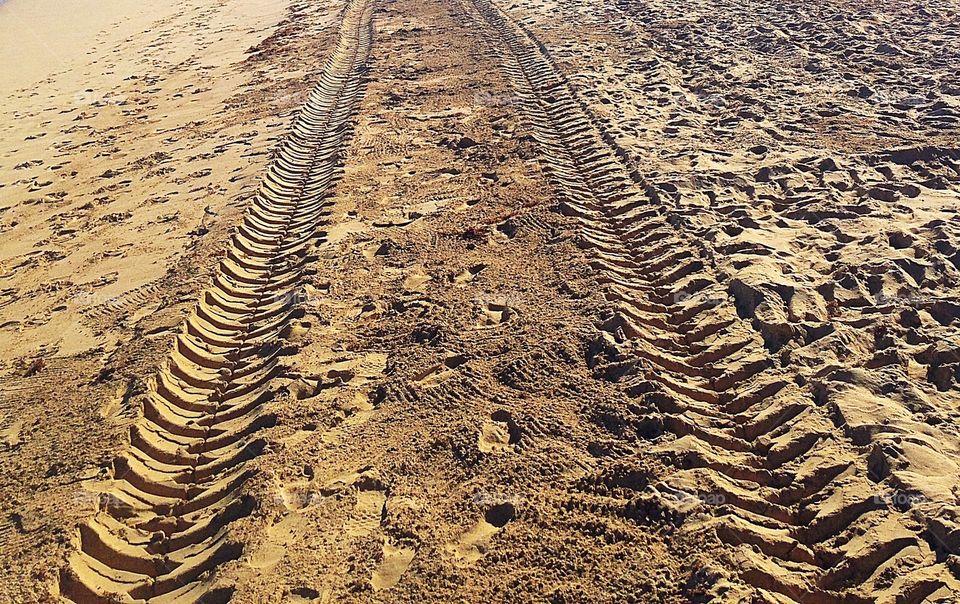 Tracks in the sand...