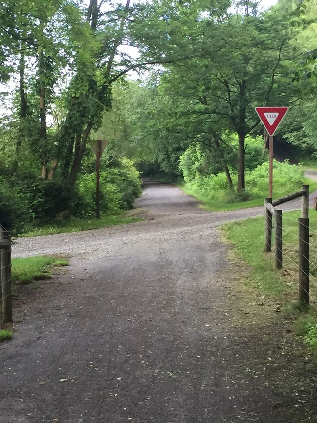 Pathway