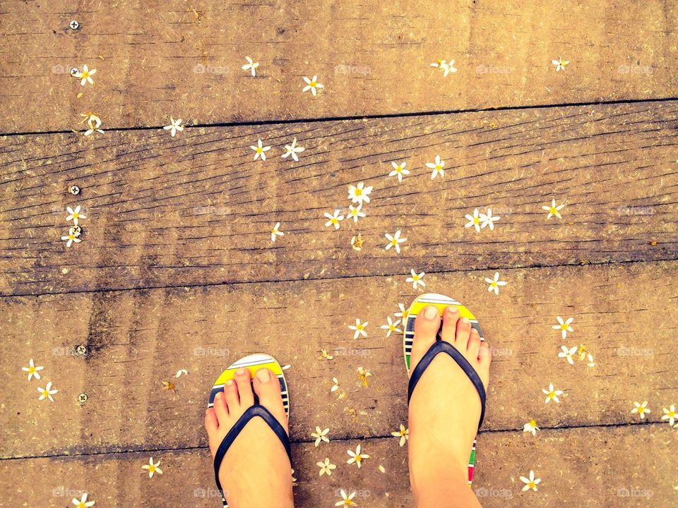 Slippers on wooden broadwalk with flowers