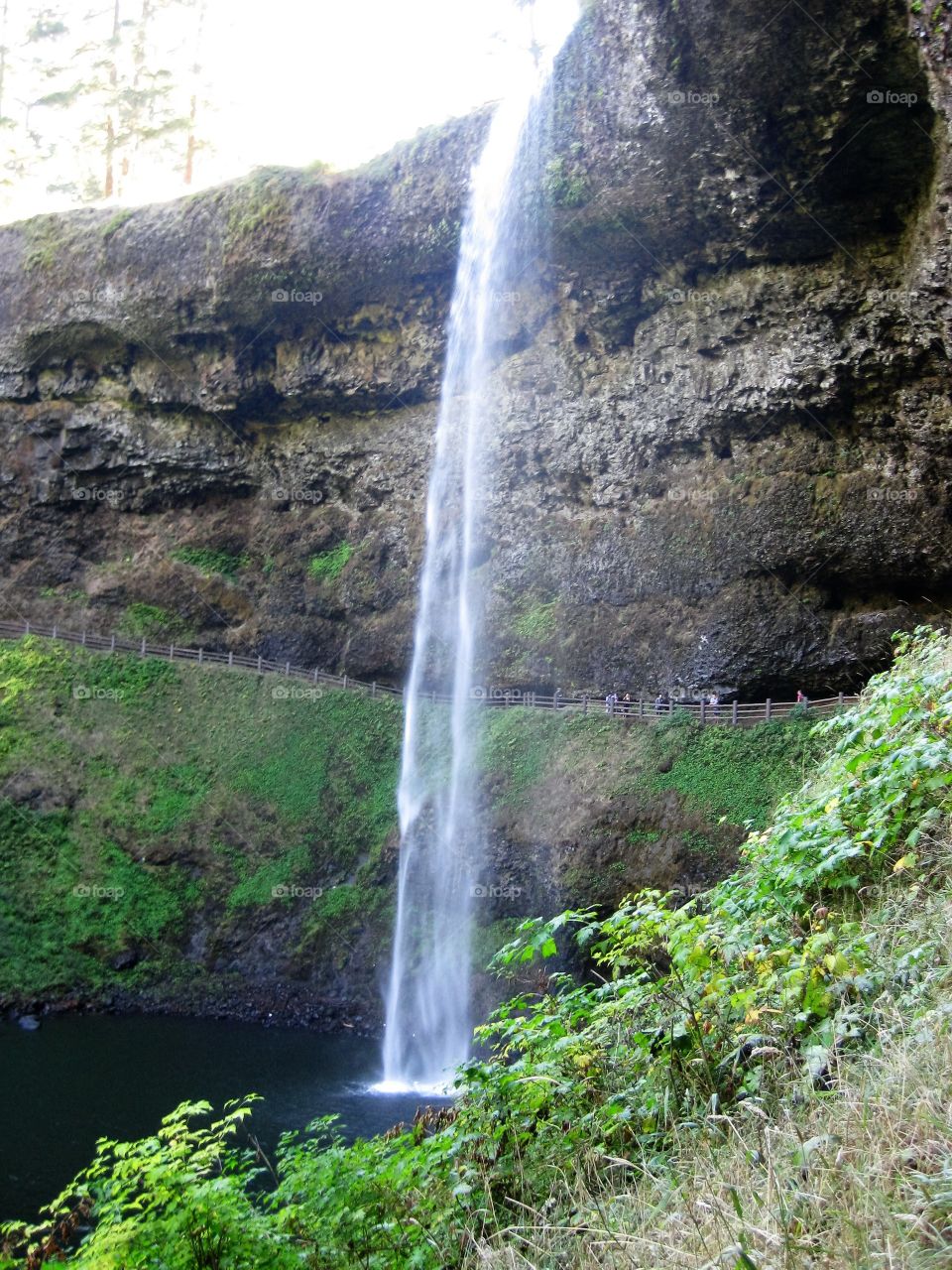 Breathtaking Waterfall