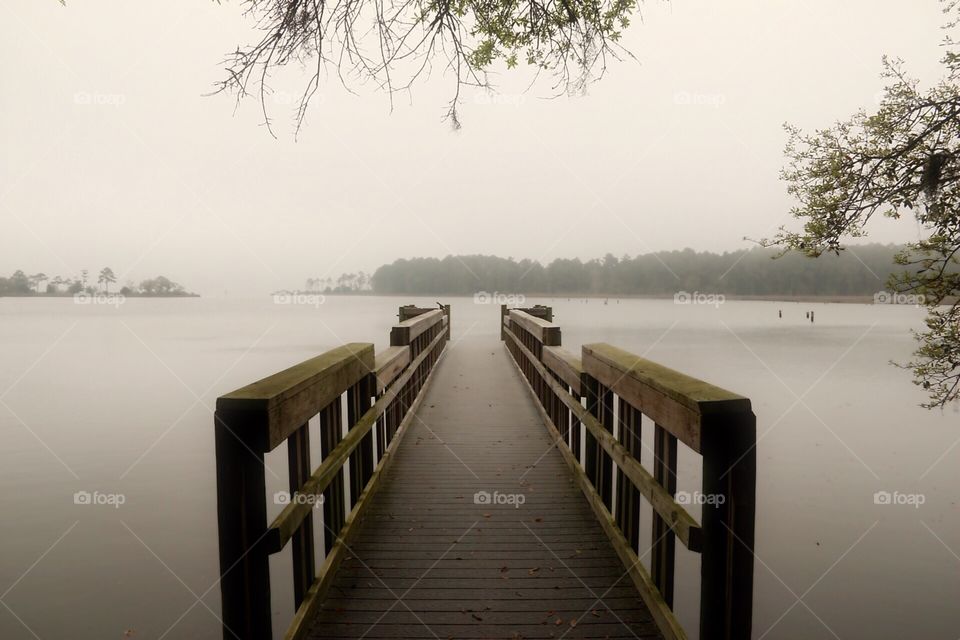 Foggy Bayou