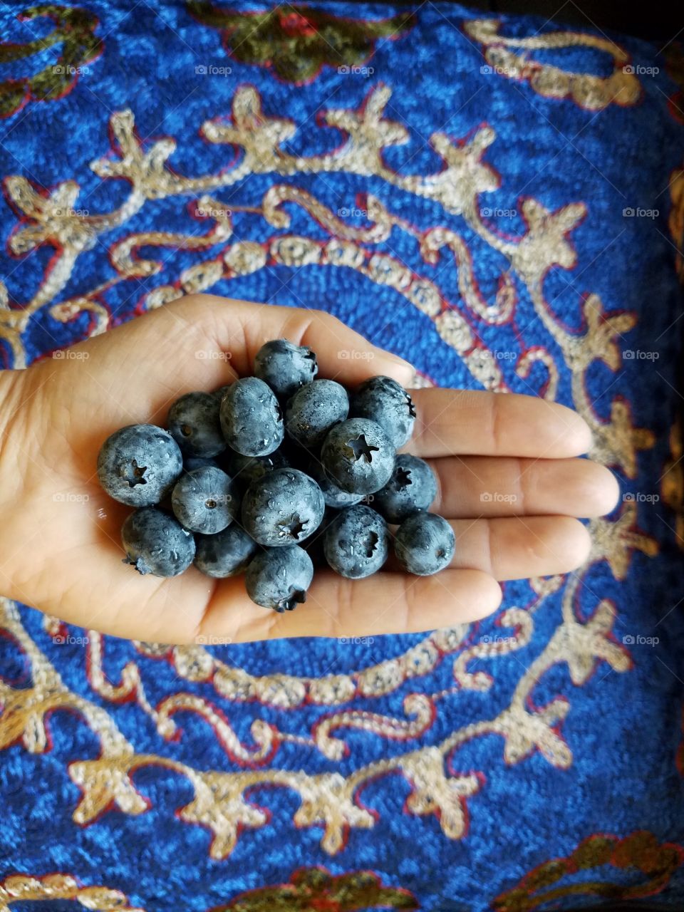 Human hand holding blueberries