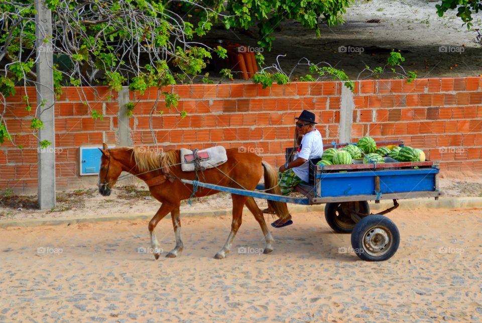 A watermelon seller