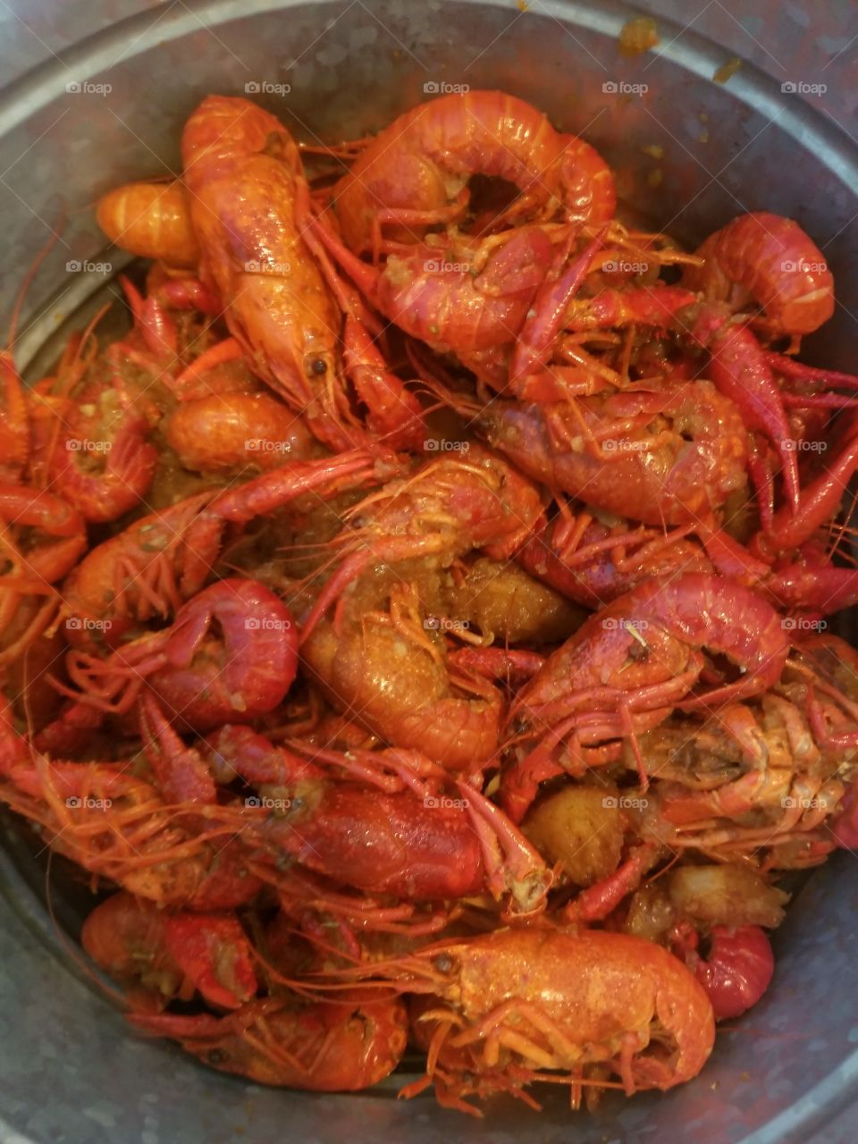 crawfish