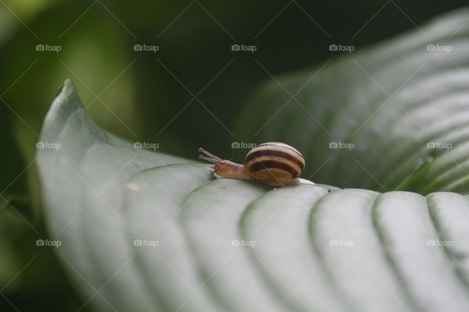 All the small things