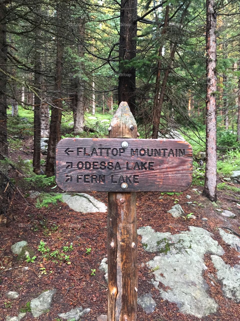 A wooden sign guiding the trail to Flattop Mountain