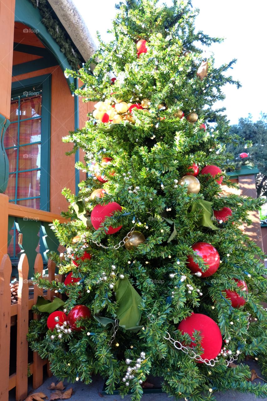 Christmas tree near log cabin