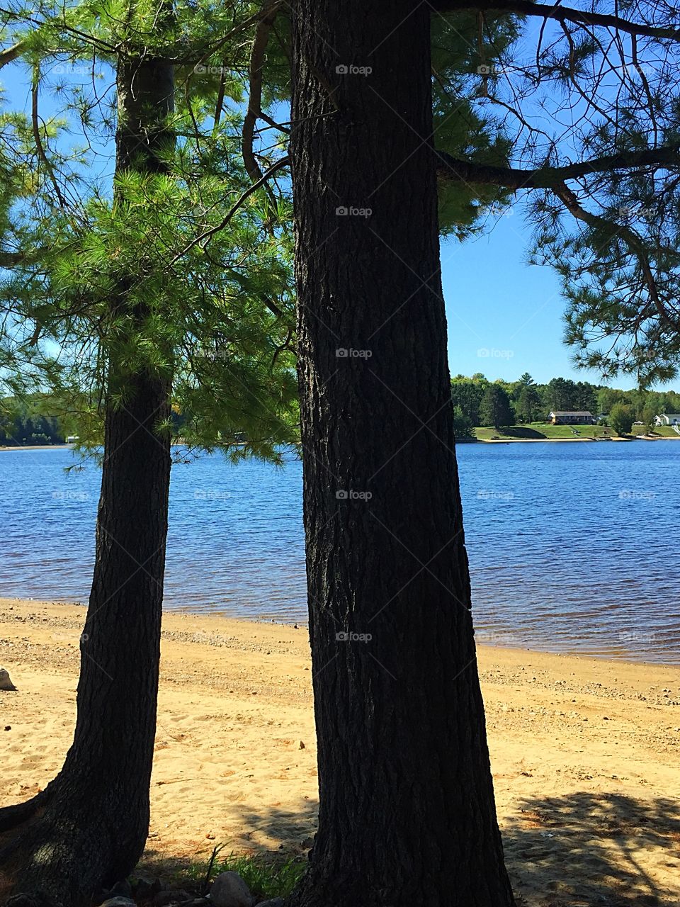 Beach and lake