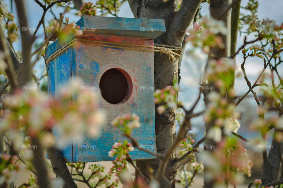 home. bird house built by my kids. home for bird family every year