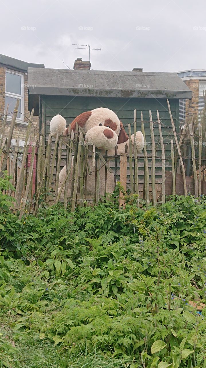 freedom form quarantine