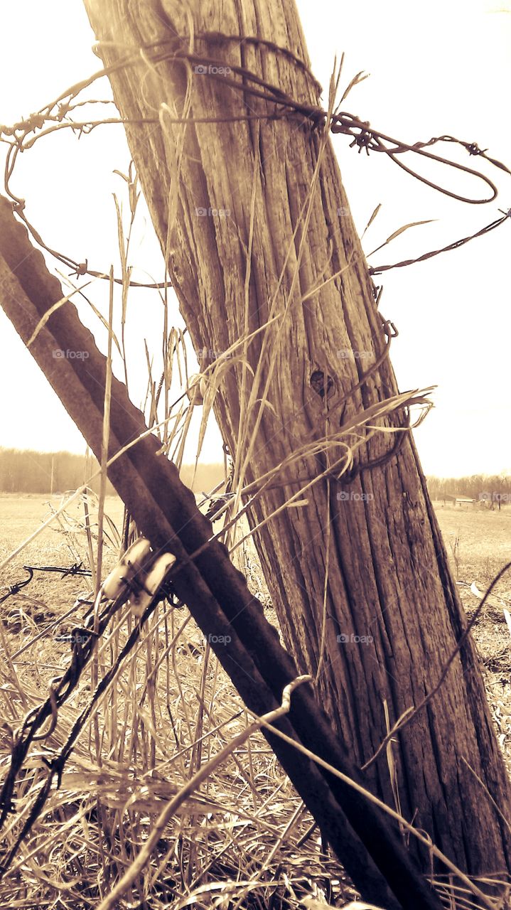 Barbed wire