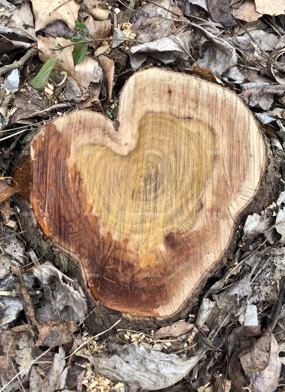 Stump heart
