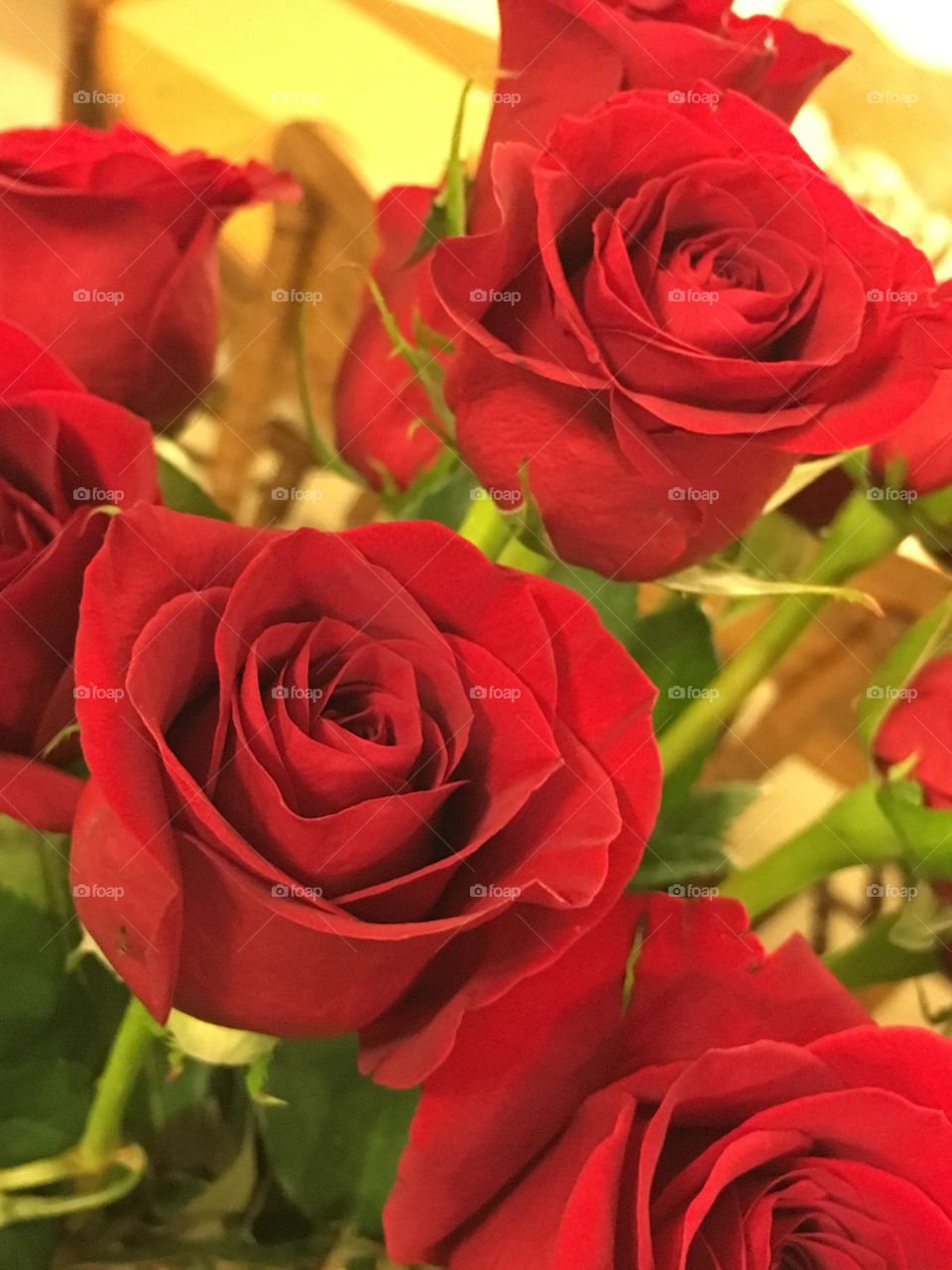 Red roses love!