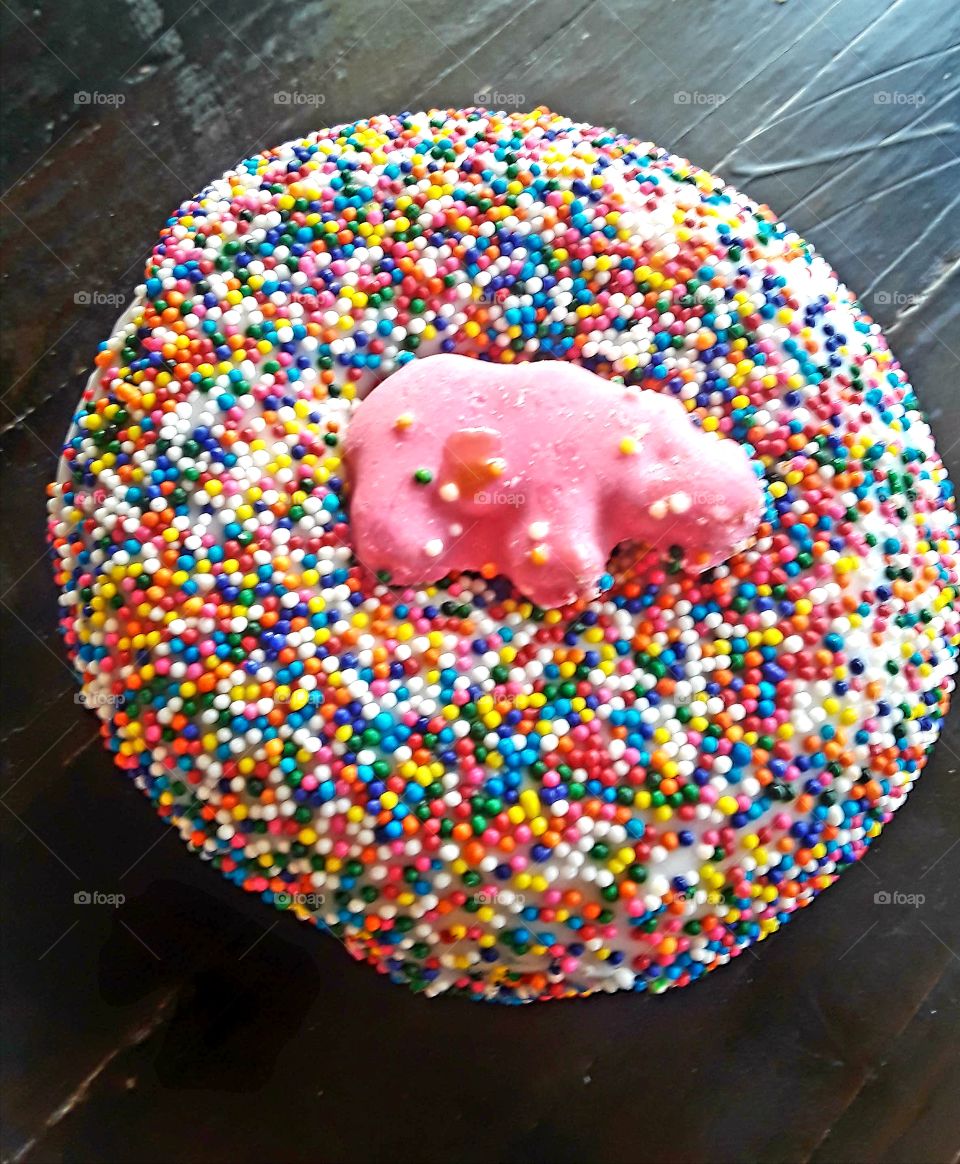 Sprinkle Donut