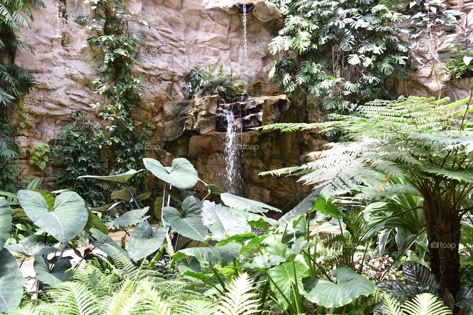 Waterfall at San Antonio Botanical Garden
