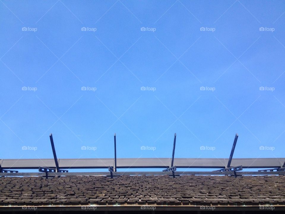 sky united states morikami museum and japanese gardens delray beach by downtownftl