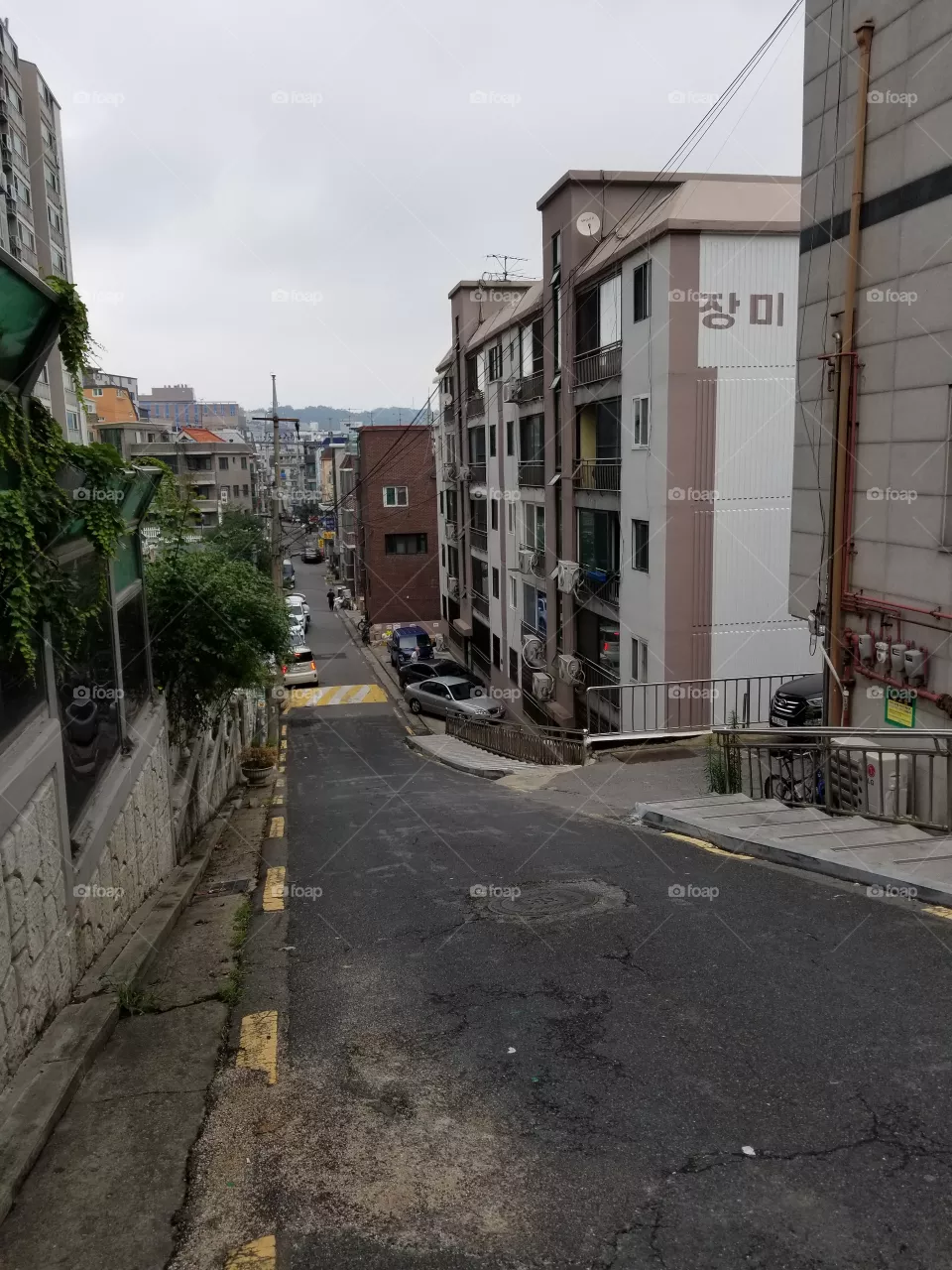 Street