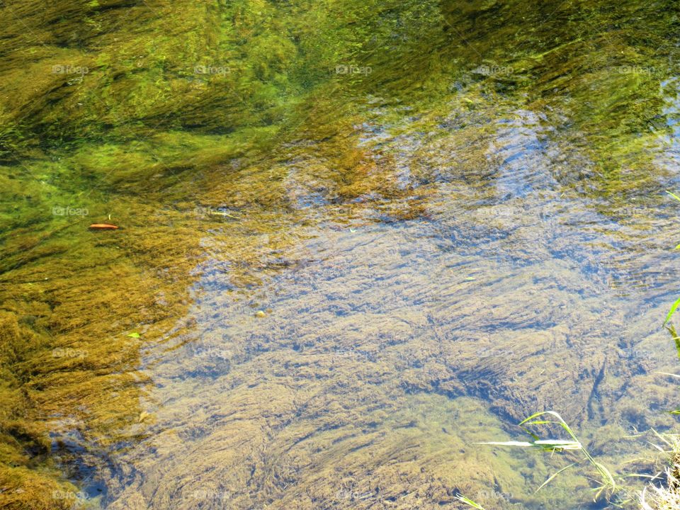 reflection in stream