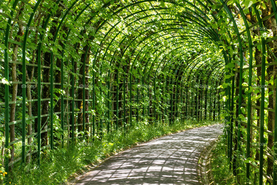 Walkway to Castle Linderhof