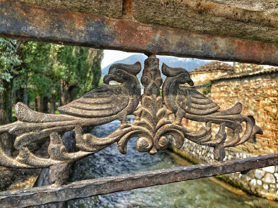 beauty to be found everywhere