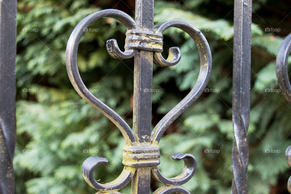 Close-up of iron gate