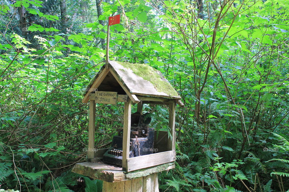 A little wooden shelter for a cash register with a sign on the shelter saying “Company Store”! This is in a unique little park in the forest on the wondrous West Coast.