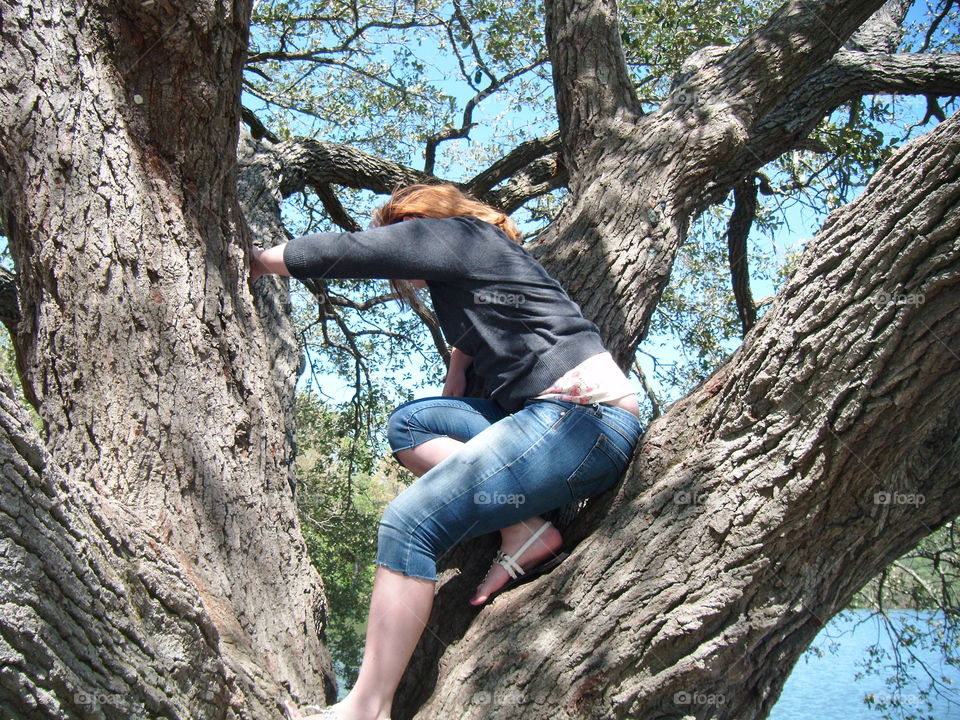 Climb the tree