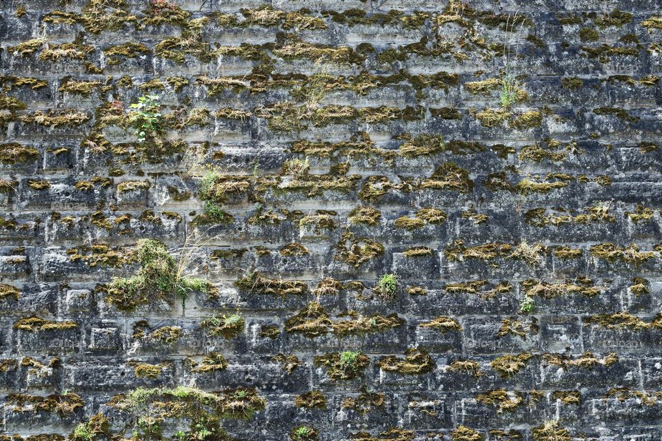 Old stone wall with moss