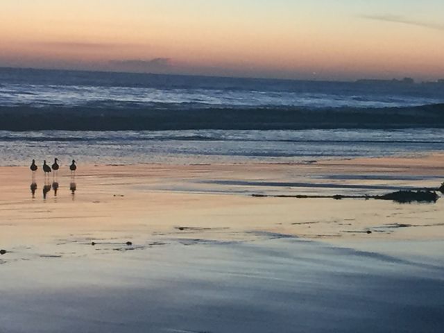 Water, No Person, Beach, Sand, Sea