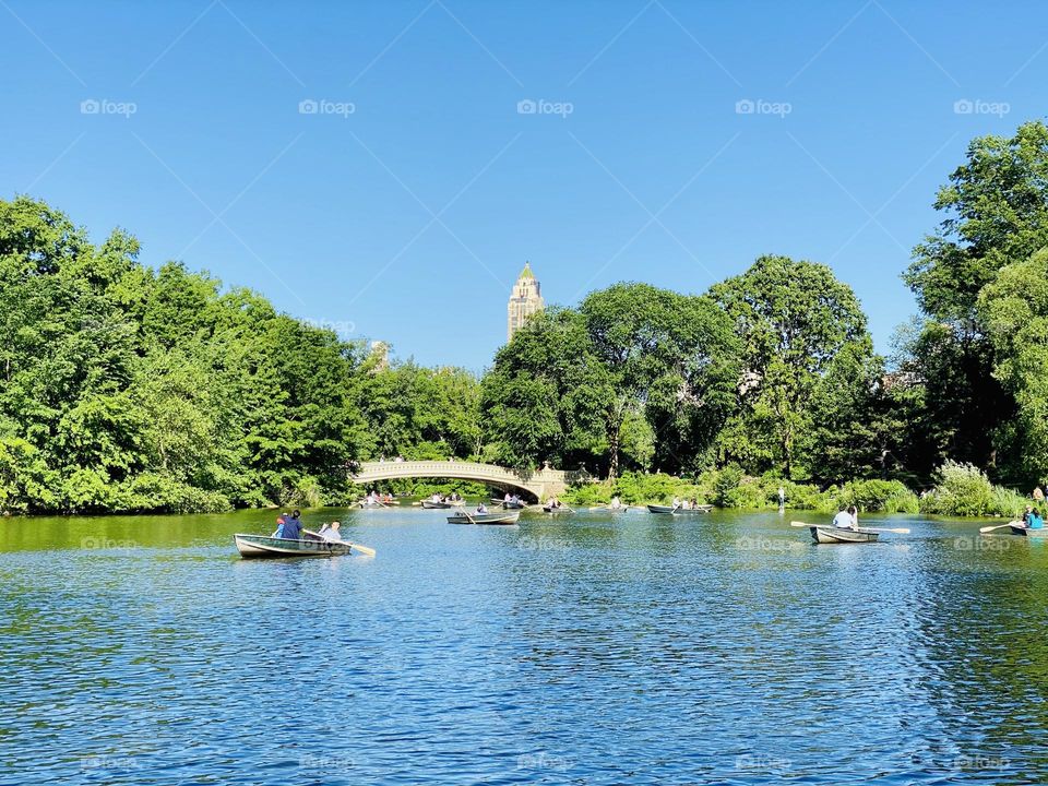 Row boating on the lake in New York City Central Park on beautiful sunny summer day. 