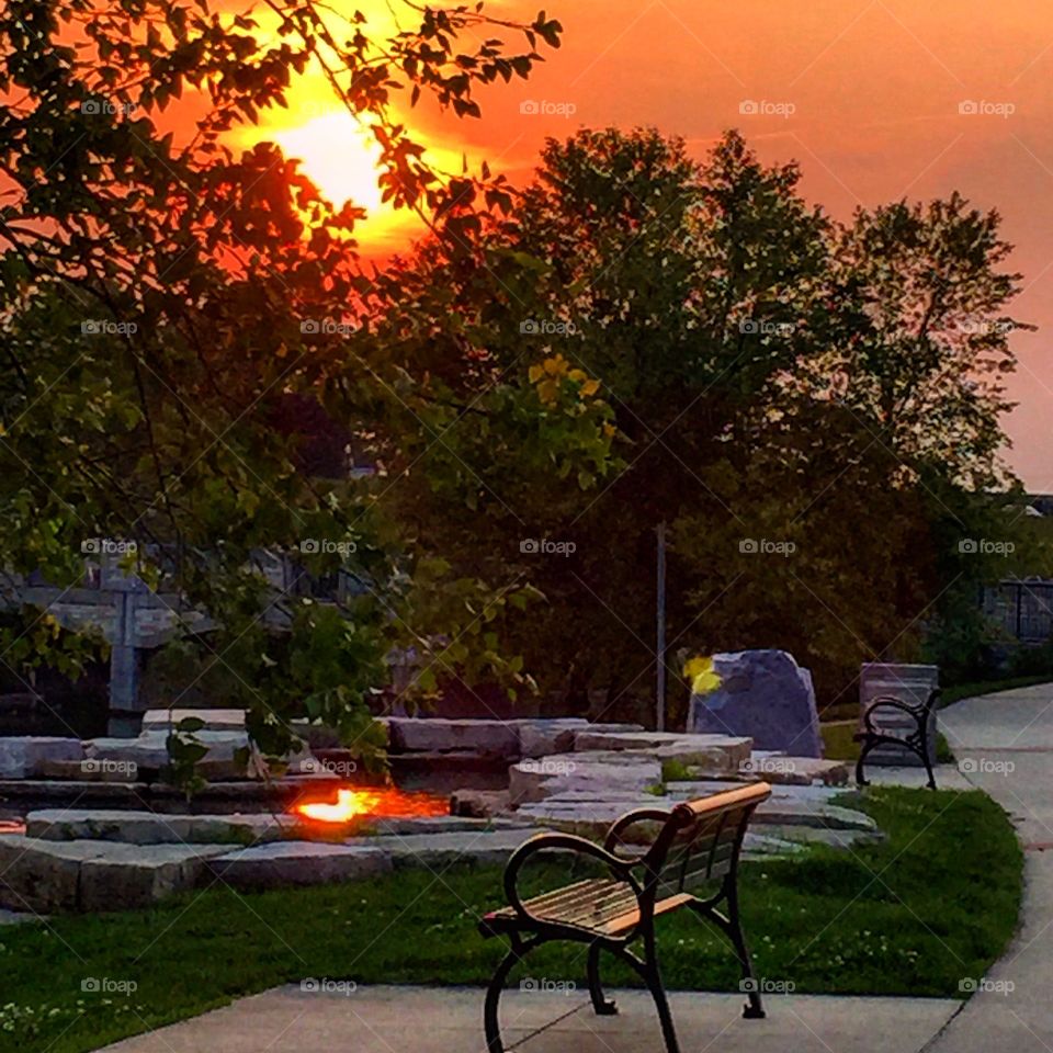 Sunset bench 