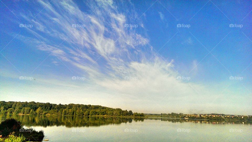 Scenic view of nature