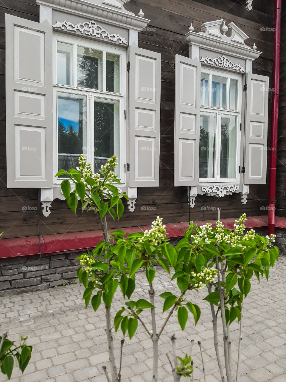 отреставрированный дом и цветущая черёмуха