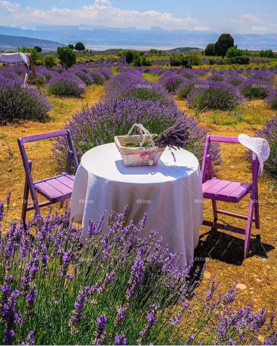with whom do you want to have breakfast here