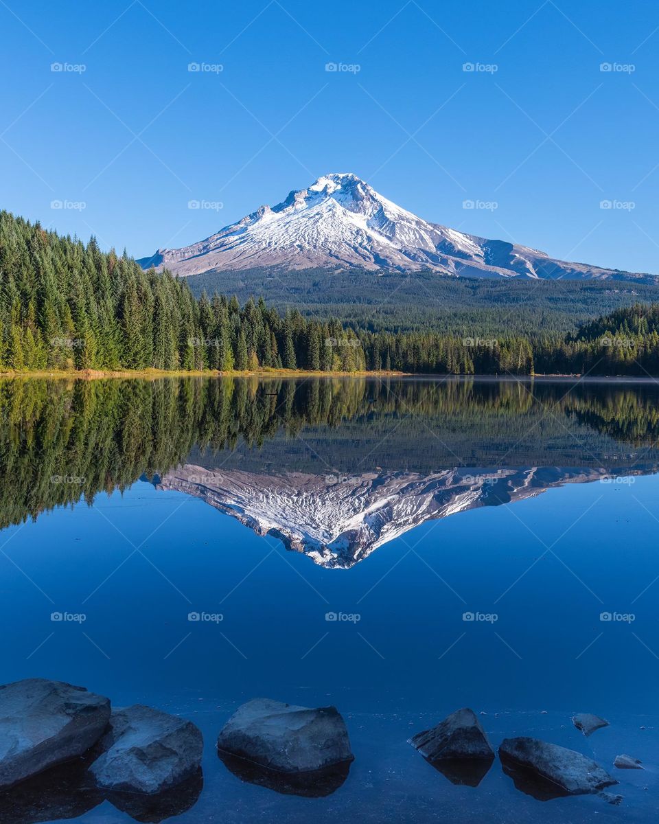 Pristine mountain landscape reflecting over tranquil lake on beautiful blue sky morning. Mt Hood, Oregon. 