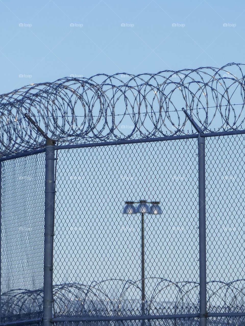 Coils of razor wire above a fence