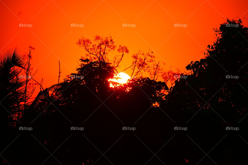 Every sunset brings the promise of a new dawn