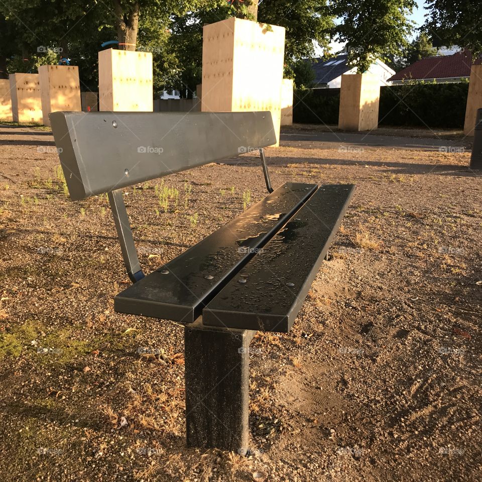Public bench in warm morning light